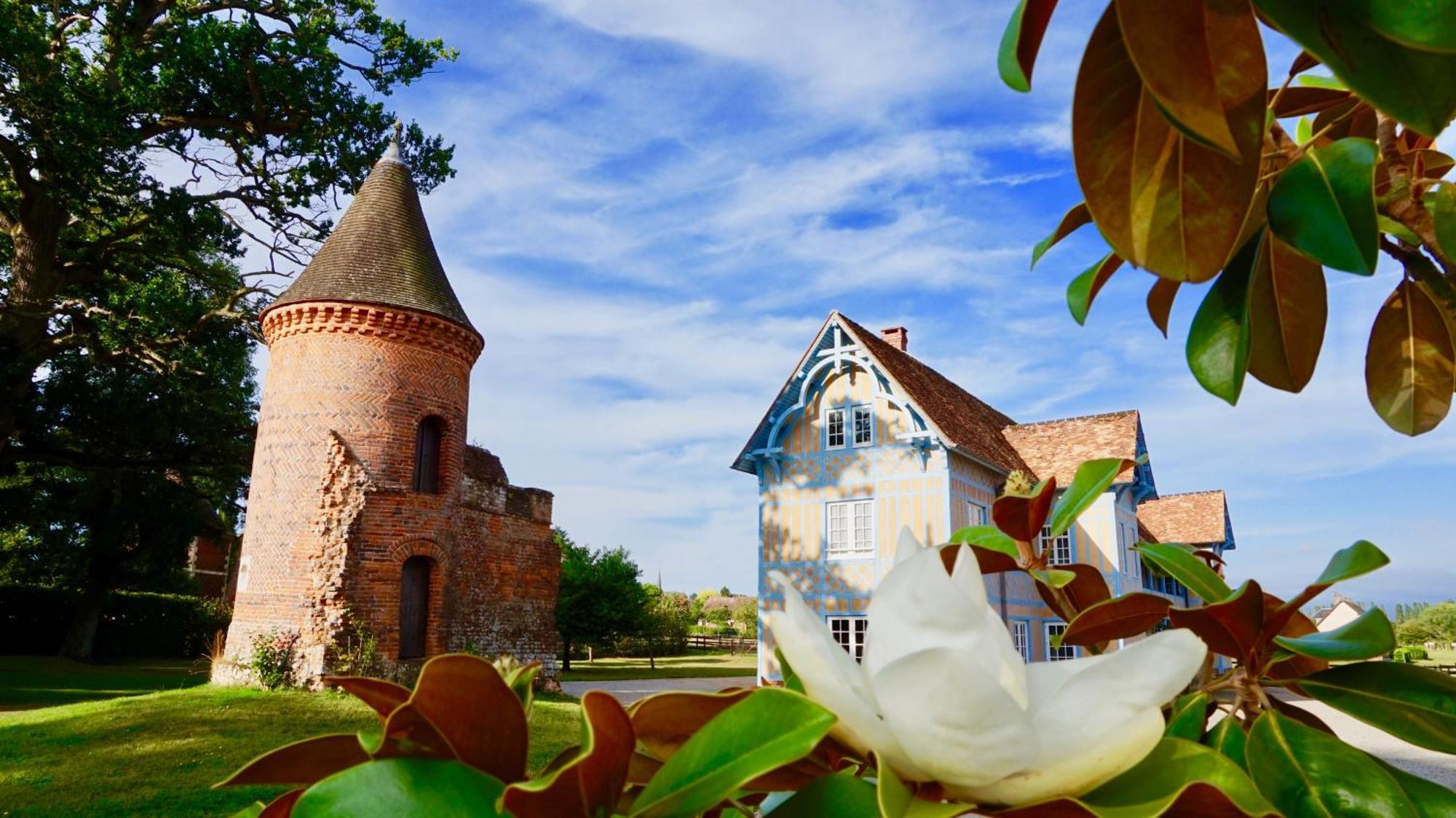 Chateau De Tilly Boissey-le-Chatel Exterior foto