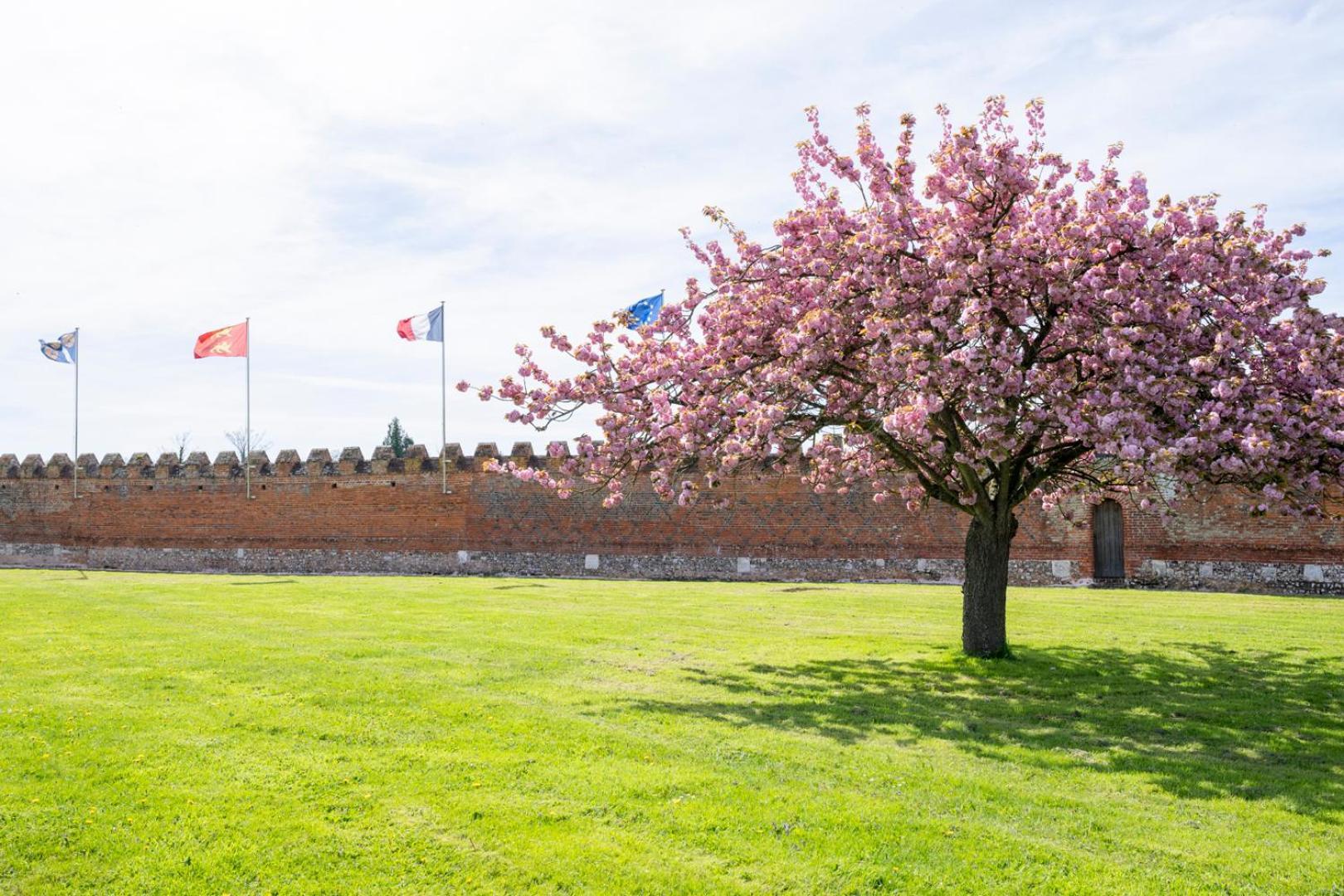 Chateau De Tilly Boissey-le-Chatel Exterior foto